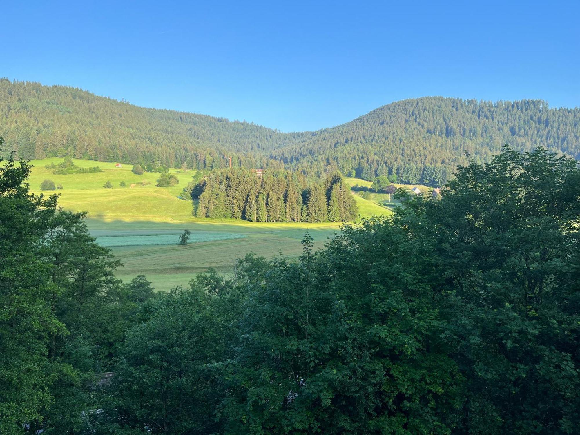 Ferienwohnungen Greve Baiersbronn Exterior foto